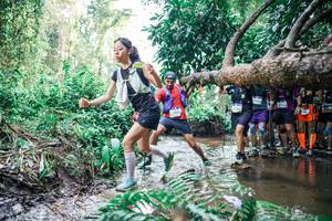 BIB: 
                            <button type="button" onclick="openModal(25473395)" class="btn btn-primary btn-sm float-right btn-popup" data-toggle="modal" data-target=".modal-high-quality">
                        <i class="fas fa-shopping-cart"></i> Add to Cart
                    </button>
                                            <button type="button" onclick="isThisMe(25473395, true)" class="btn btn-success btn-sm float-right btn-popup btn-isme hidden" data-toggle="tooltip" data-placement="bottom" title="นี่คือรูปของคุณใช่ไหม คลิกที่นี่เพื่อเอาเข้าอัลบั้ม">
                        <i class="fas fa-plus"></i> Add to album
                    </button>
                    <button type="button" onclick="isThisMe(25473395, false)" class="btn btn-warning btn-sm float-right btn-popup btn-isnotme hidden">
                        <i class="fas fa-ban"></i> Remove from album
                    </button>